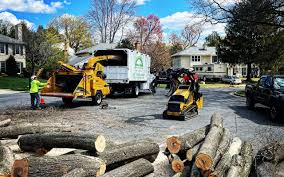 Best Lawn Renovation and Restoration  in Atoka, NM